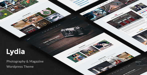 Lydia by Tommusrhodus (multi-purpose WordPress theme)