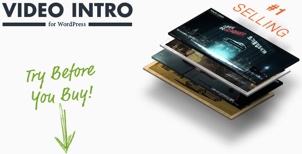 Video Intro For WordPress by Meydjer (WordPress advertising plugin)