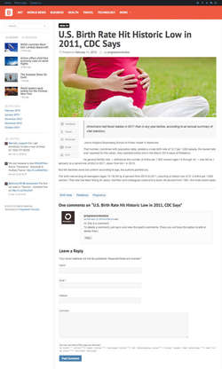 Bayside - Responsive WordPress Theme