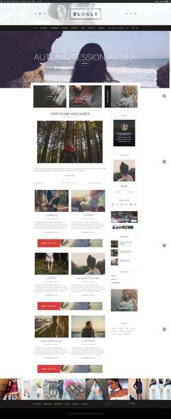 Blogly - Fancy WordPress Blog Theme