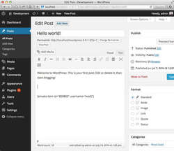 Envato Items Info WordPress Plugin