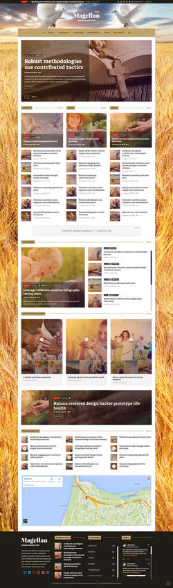 Magellan - Video News - Reviews Magazine