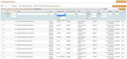Magento Admin Catalog Product Filter