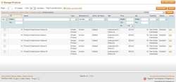 Magento Admin Catalog Product Filter