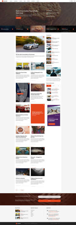 Newsrack - Responsive WordPress Blog Theme With Infinitive Load