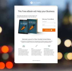 Opt - In Landing Page Package - PageWiz Template