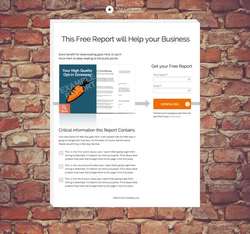 Opt - In Landing Page Package - PageWiz Template