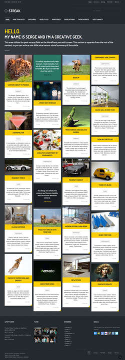 Streak - Responsive WordPress Blog - Portfolio