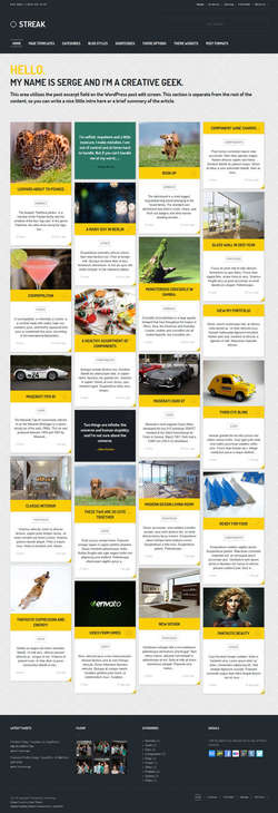Streak - Responsive WordPress Blog - Portfolio