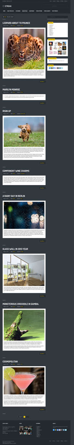 Streak - Responsive WordPress Blog - Portfolio