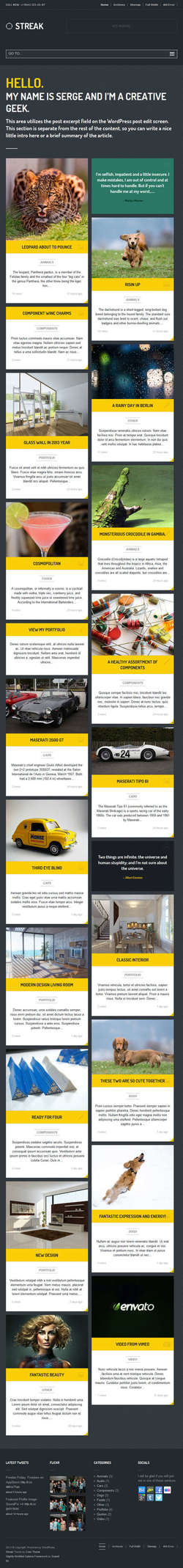 Streak - Responsive WordPress Blog - Portfolio