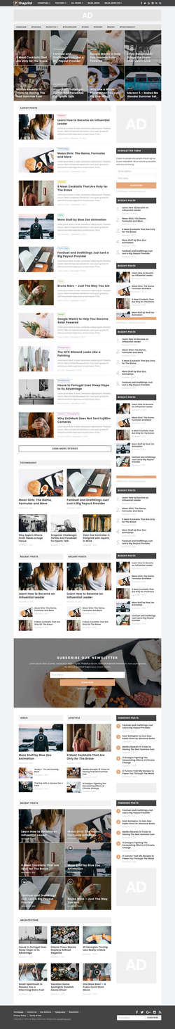 The Print - Theme for Magazines and Simple Blogs