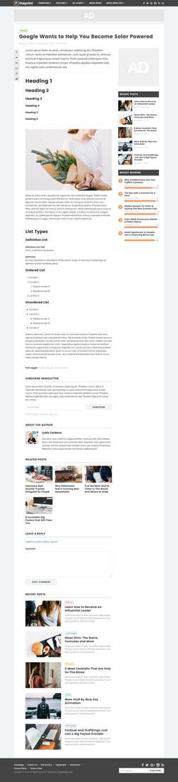 The Print - Theme for Magazines and Simple Blogs