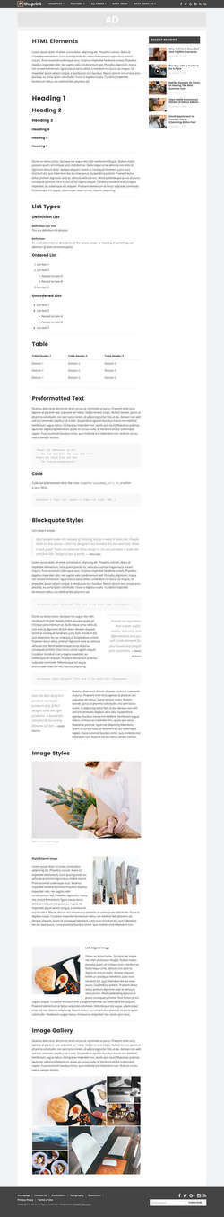 The Print - Theme for Magazines and Simple Blogs
