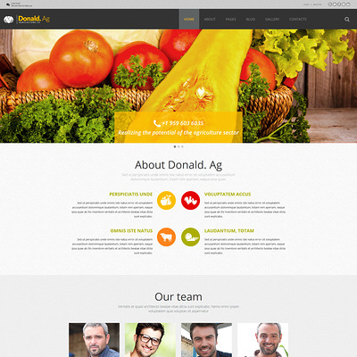 Agriculture Joomla Template (Joomla theme for agriculture and farms) Item Picture