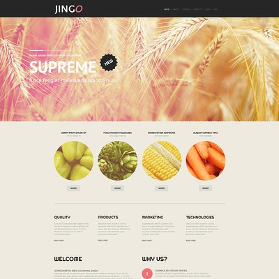 Agriculture WordPress Theme (farming and agricultural WordPress theme) Item Picture