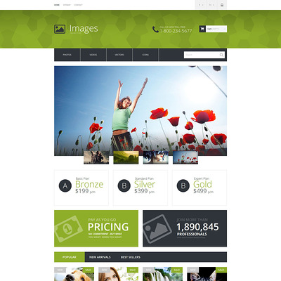 Art Photography PrestaShop Theme (PrestaShop theme for stock videos and images) Item Picture