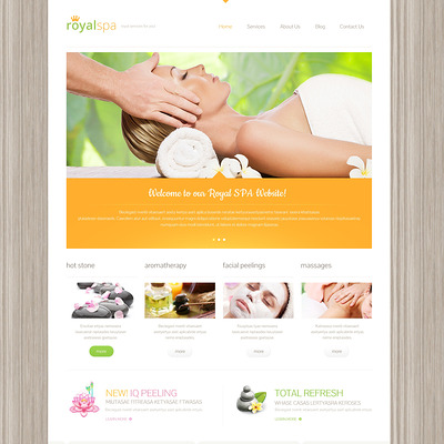 Beauty Responsive WordPress Theme (WordPress theme for hair and beauty salons and spas) Item Picture