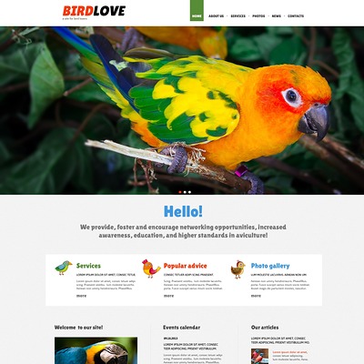 Birds Responsive Joomla Template (Joomla template for websites about pets and animals) Item Picture