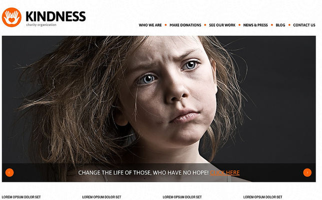 Charity Foundation WordPress Theme (charity WordPress theme) Screenshot
