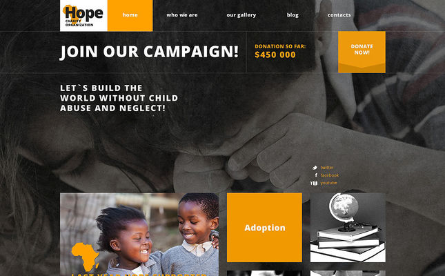 Charity Responsive WordPress Theme (charity WordPress theme) Screenshot