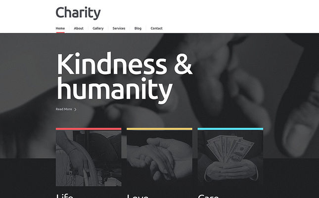 Charity Responsive WordPress Theme (charity WordPress theme) Screenshot