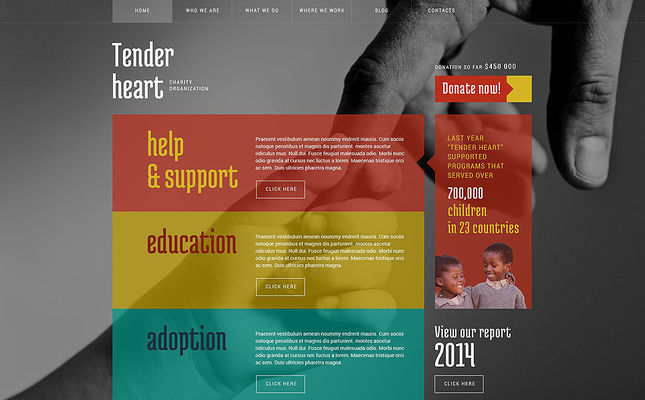Charity WordPress Theme (charity WordPress theme) Screenshot