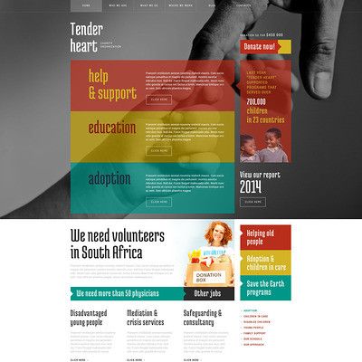 Charity WordPress Theme (charity WordPress theme) Item Picture