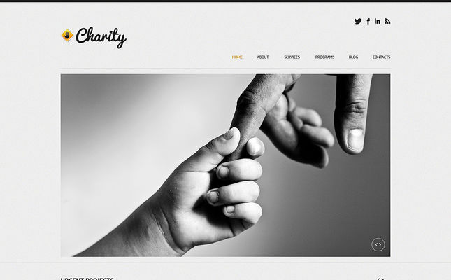 Child Charity Responsive WordPress Theme (charity WordPress theme) Screenshot