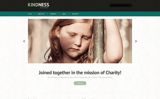 Child Charity WordPress Theme (charity WordPress theme) Screenshot