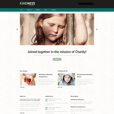 Child Charity WordPress Theme (charity WordPress theme) Item Picture