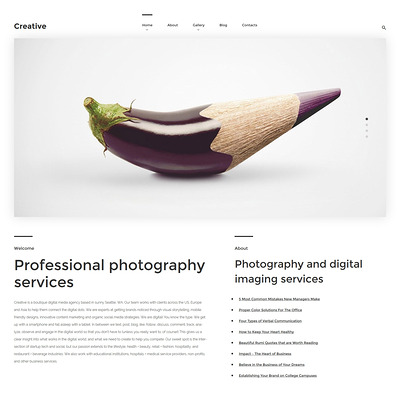 Creative WordPress Theme (WordPress theme for photogaphers) Item Picture