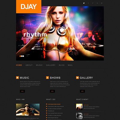 DJ Responsive WordPress Theme (WordPress theme for night clubs) Item Picture