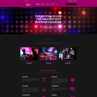 DJ Responsive WordPress Theme (WordPress theme for night clubs) Item Picture