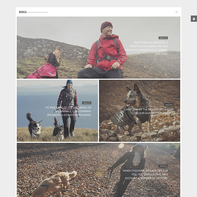 Dogs Joomla Template (Joomla template for websites about pets and animals) Item Picture