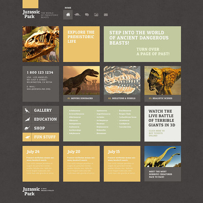 Educational WordPress Theme (museum WordPress theme) Item Picture