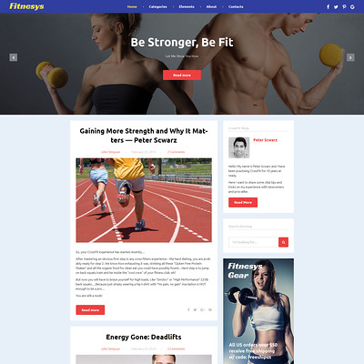 Fitnesys (WordPress theme for gym and fitness) Item Picture
