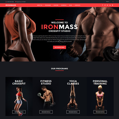 IronMass (WordPress theme for gym and fitness) Item Picture