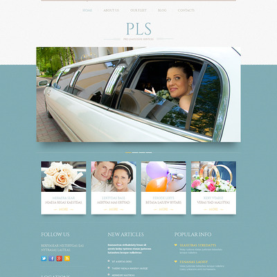 Limousine Services Responsive WordPress Theme (WordPress theme for wedding professionals) Item Picture