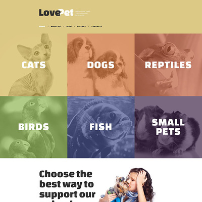 Love Pet Drupal Template (Drupal theme for pets and animals) Item Picture