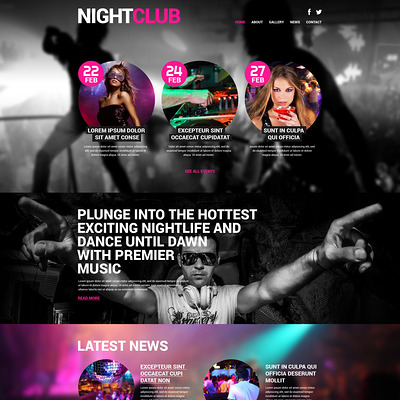 Night Club Euphoria WordPress Theme (WordPress theme for night clubs) Item Picture