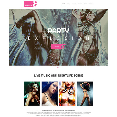 Night Club WordPress Theme (WordPress theme for night clubs) Item Picture