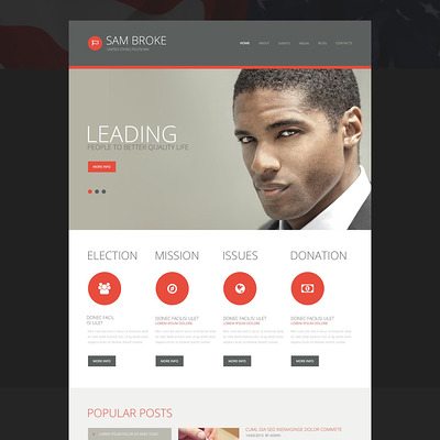 Politics WordPress Theme (WordPress theme for politics) Item Picture