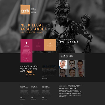 Public Justice Agency WordPress Theme (WordPress theme for lawyers and law firms) Item Picture