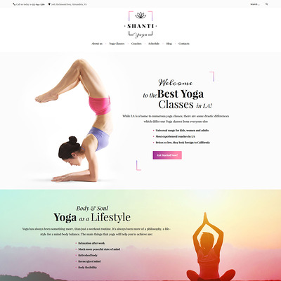 Shanti (WordPress theme for gym and fitness) Item Picture