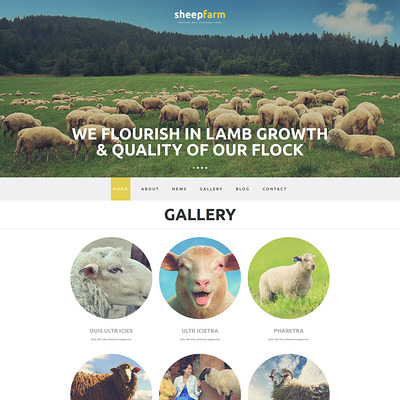 Sheep Farm Joomla Template (Joomla theme for agriculture and farms) Item Picture
