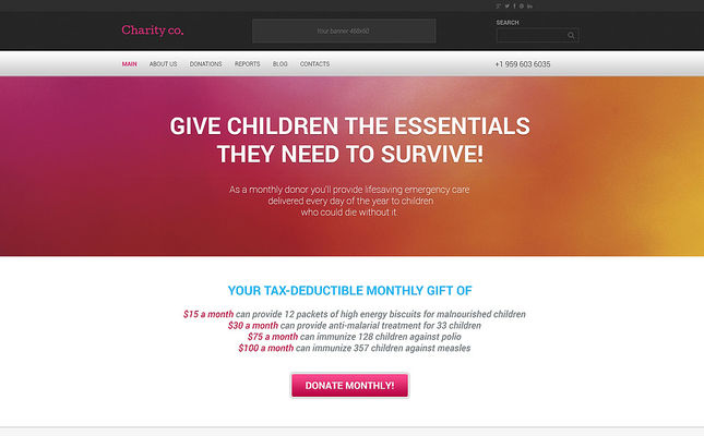Simple Charity WordPress Theme (charity WordPress theme) Screenshot