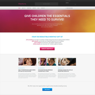 Simple Charity WordPress Theme (charity WordPress theme) Item Picture