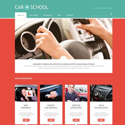 Traffic School Responsive WordPress Theme (education WordPress theme) Item Picture