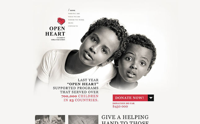World of Charity WordPress Theme (charity WordPress theme) Screenshot